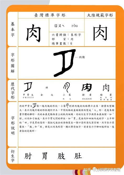 肉字旁的名字